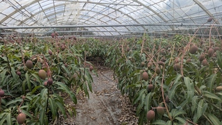 PXL_20250508_033356628.MP.jpg